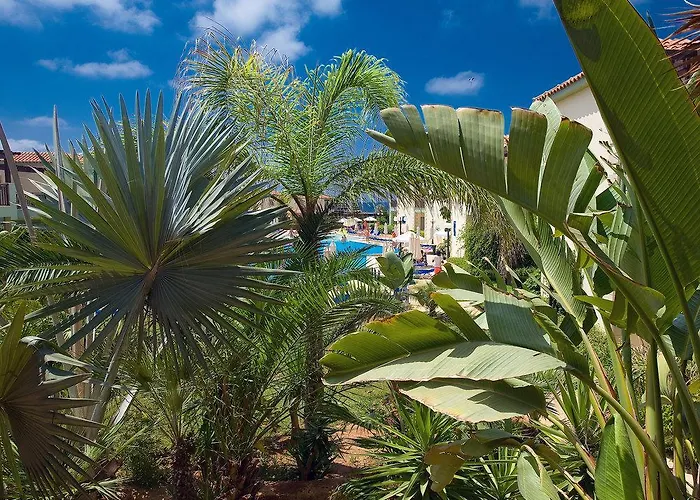 Hotell Ramada & By Wyndham Ayia Napa